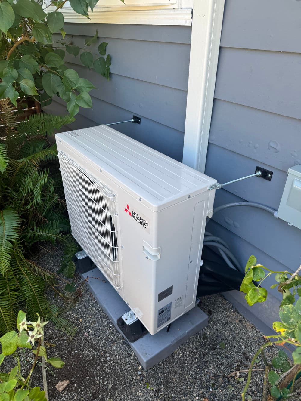 Contact form background