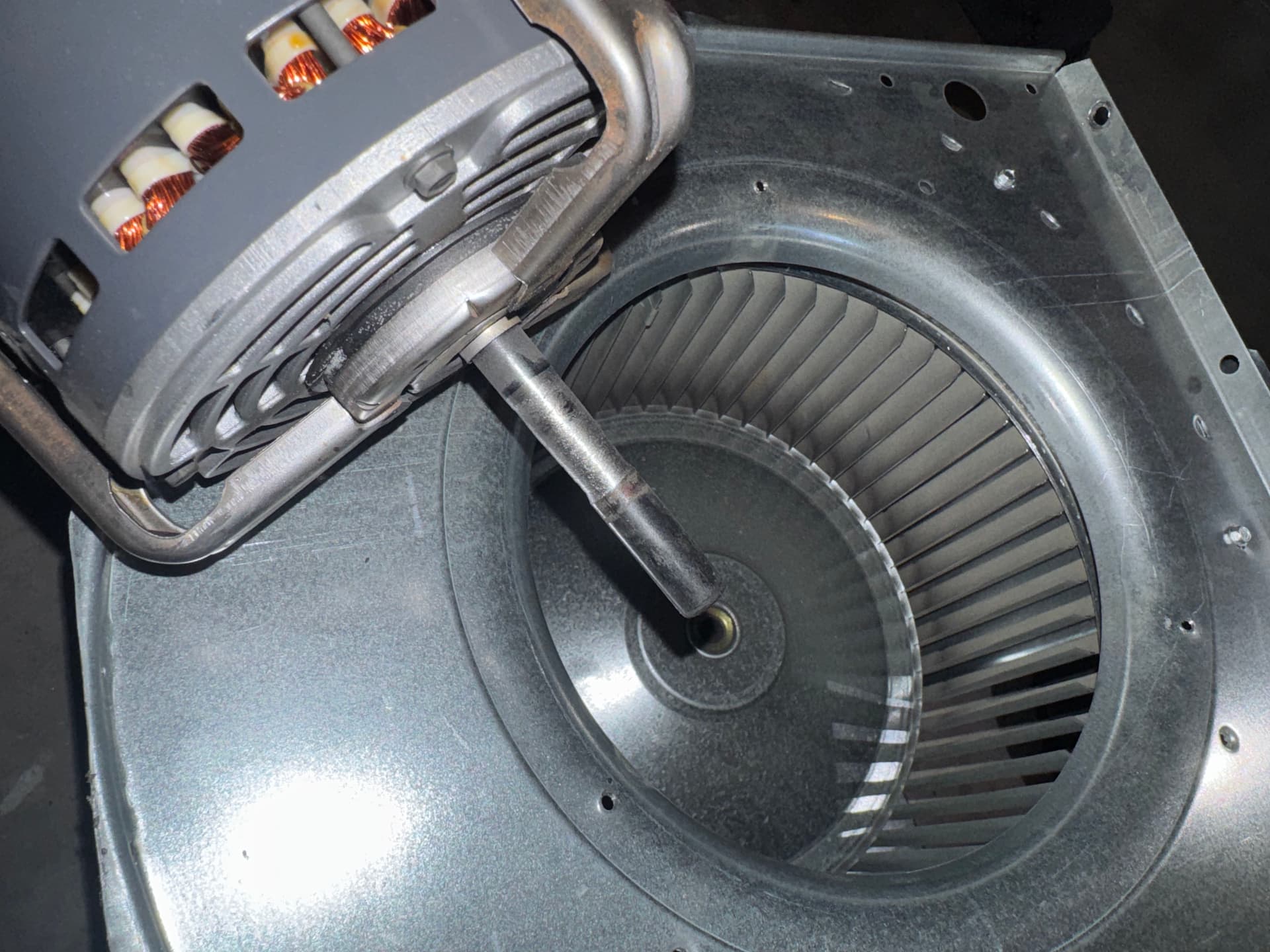 Gallery photos for Squealing Furnace Fixed with Same-Day Blower Motor Replacement: Image #1